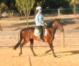 first trot on Jade, Dec 2002